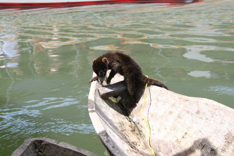 Mexico & Guatemala 2010 - 0967